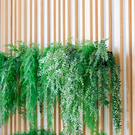 Hd 파르케 크리스토발 테네리페