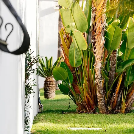 Hd 파르케 크리스토발 테네리페 호텔 플라야데라스아메리카스