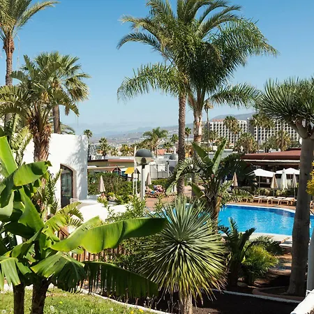 Hd 파르케 크리스토발 테네리페 플라야데라스아메리카스