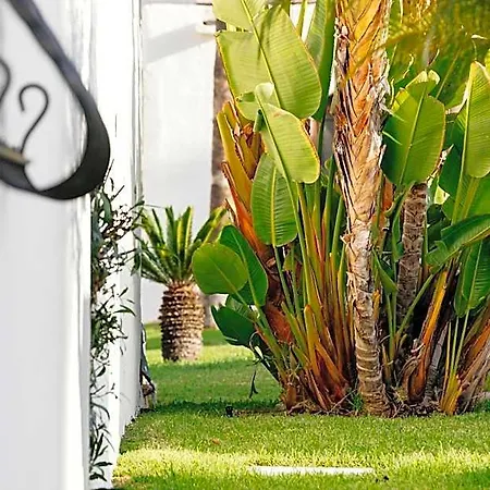 Hd Parque Cristobal Tenerife Hotel 3*
