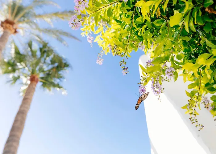 Hd Parque Cristobal Tenerife 3* Playa de las Américas