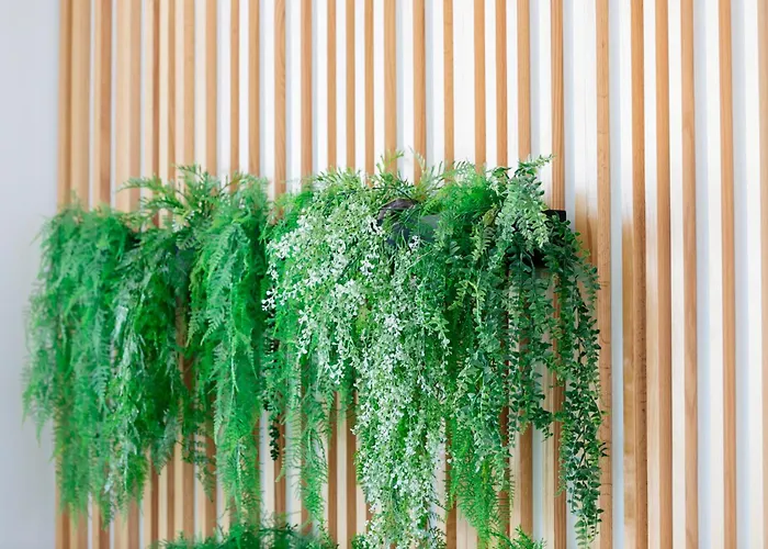 Hd 파르케 크리스토발 테네리페