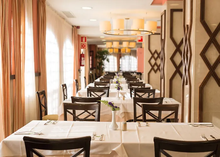 Hd 파르케 크리스토발 테네리페 플라야데라스아메리카스